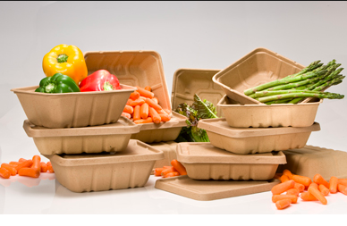 Are Compostable To-Go Containers Up to the Job?